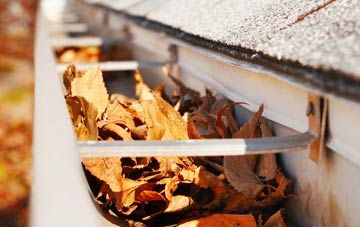 Woodford Green gutter cleaning companies