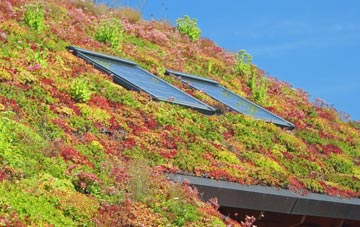 Woodford Green living roof systems